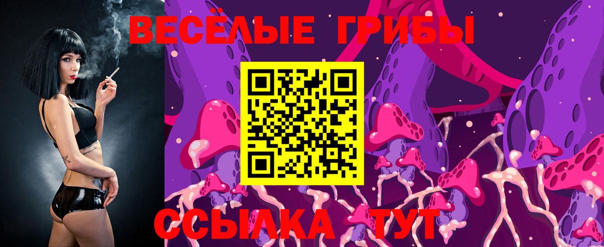 Галлюциногенные грибы мицелий  Вход с VPN  купить закладку  Троицк  Псилоцибиновые грибы Psilocybe 